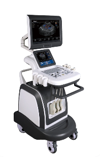 彩色多普勒超聲系統(tǒng)venus ultimate-dual廠(chǎng)家